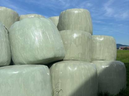 Siloballen 1.-2. Schnitt
