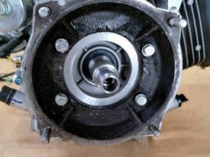 Bild 2:Rasant MAG Motor Ersatz für Rasant Super, Rasant Motormäher