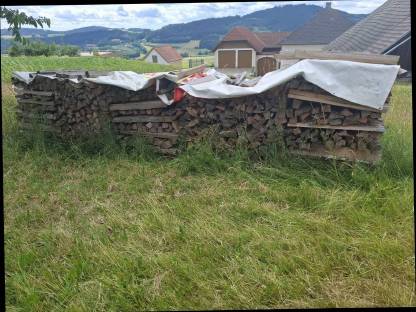 Bild 2:Brennholz