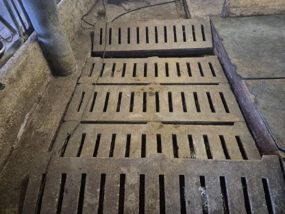 Aufstallung, Betonspalten, verzinkte Rohre