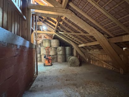 Bild 4:Verpachte Bauernhof, Stallungen für Kühe, Pferde, etc.
