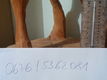 Bild 6:Melkstand Delaval