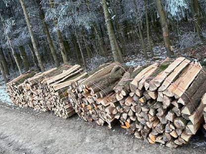 Bild 2:Brennholz hart