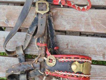 Bild 6:Haflinger Kummt-Geschirr