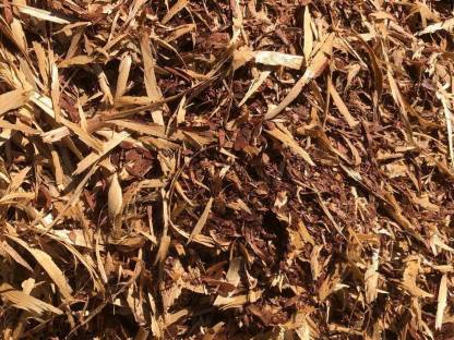 Bild 2:Rindenmulch