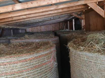 Bild 2:Heu Rundballen