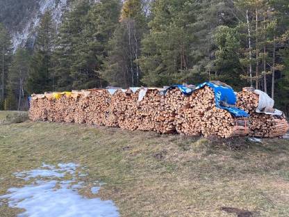 Trockenes Buchenbrennholz aus dem Karwendel
