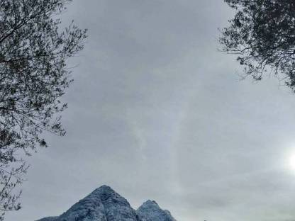 Suche Alm zum Pachten für Milchkühe