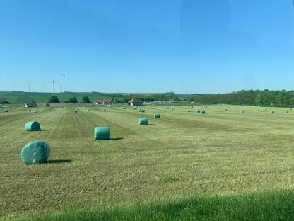 Bild 4:Luzernesilageballen