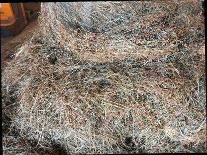 Bild 2:Bio Heuballen 1,3 m