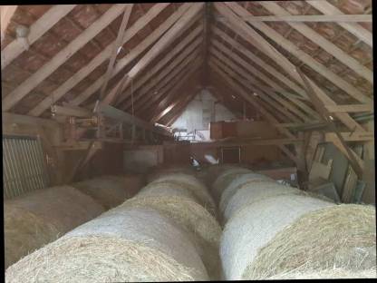 Bild 2:Bio Heu zu verkaufen ampferfrei mit Bio-Zertifikat