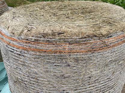 Bild 3:Siloballen 2. Schnitt