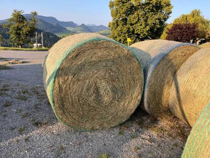 Bild 2:BIO Pferdeheu Heurundballen