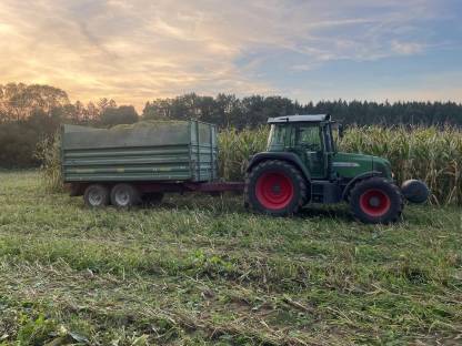 Bild 2:Bio Maisballen Vorbestellung