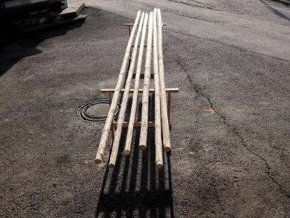 Bild 2:Fichtenstangen