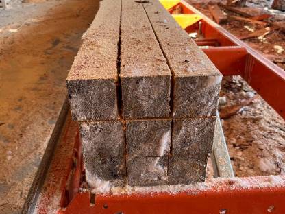 Lohnschnitt mit Wood Mizer LT15