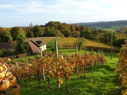 Bild 3:Rustikales Ferien-/Wochenendhaus auf wunderschönem Weinberg