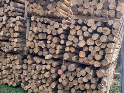 Bild 2:Akazienpfähle, Akazien Robinienpfähle, Weidezaun, Zaunpfähle