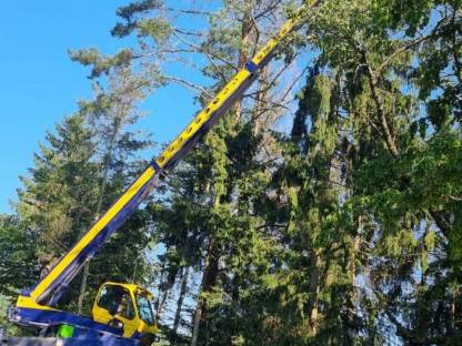 Merlo ROTO 50.16