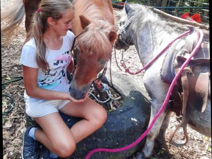 Bild 3:Zwei tolle Ponys