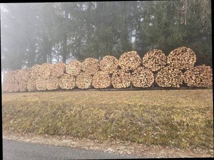 Brennholz