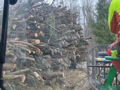 Bild 2:Hackschnitzel ab Haufen