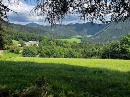 Bild 4:Almweide, Alm, Weide