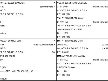 Bild 3:HB-Tauernscheckenbock Giulio