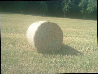Bio Heu-Rundballen