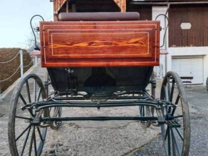 Bild 3:Dressurkutsche Spider Kutsche