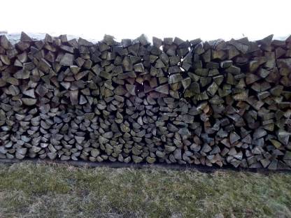 Bild 2:Brennholz Aktion