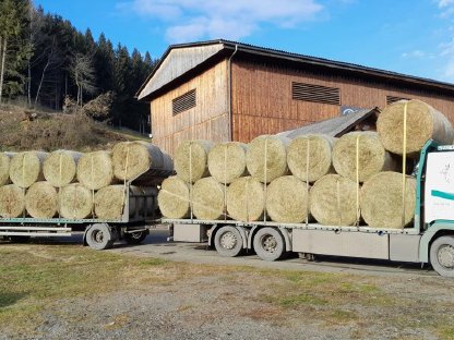 Bild 5:Stroh, Heu, Grumet, Silageballen, Maissilageballen