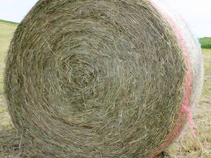 Heuballen 2 schnitt grummet