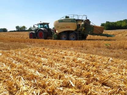 Bild 2:Stroh und Heu