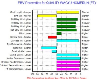 Bild 2:WAGYU Sperma HOMERUN – die Zukunft der Wagyu-Zucht