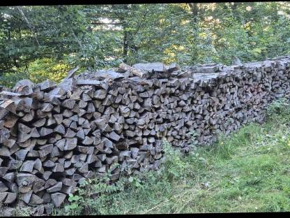 Buchenbrennholz