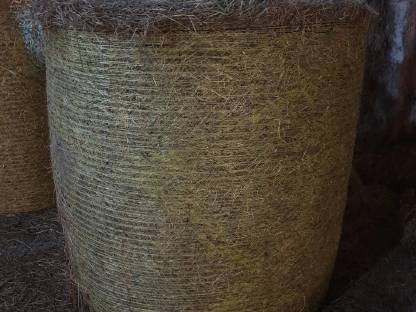 Heuballen 2. Schnitt 2025