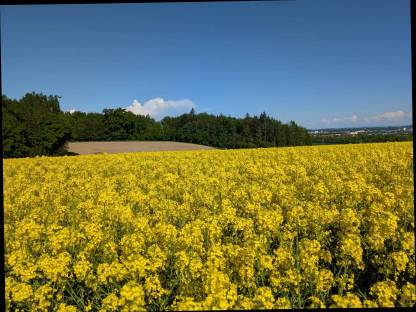 Pachtflächen