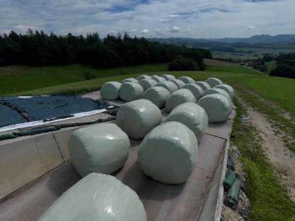 Silage 3. Schnitt in Rundballen