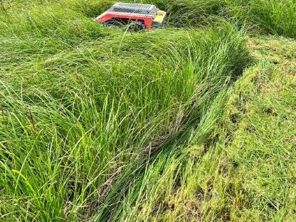 Bild 7:Biete Mulcharbeiten von 0° bis 45° im Gelände an