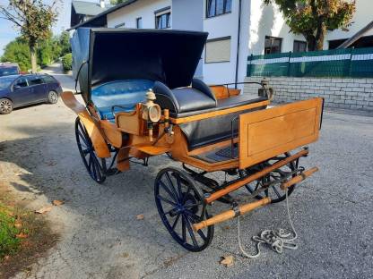 Bild 7:Vis-à-vis Kutsche