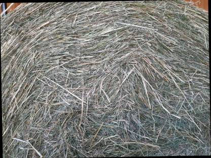 Bild 2:Heurundballen