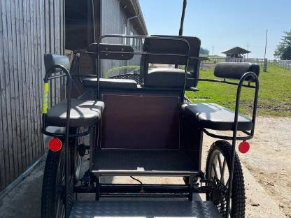 Bild 4:Trainingswagen, Freizeitkutsche