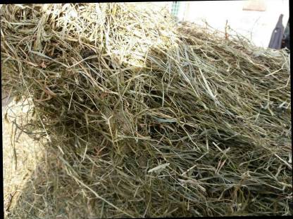 Bild 4:Heu - kleine Ballen