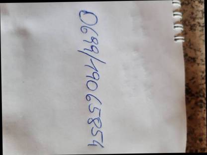 Bild 5:Verkaufe Haflinger Stutfohlen