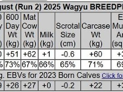 Bild 4:WAGYU Sperma HOMERUN – die Zukunft der Wagyu-Zucht