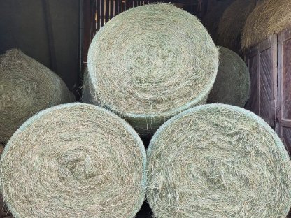 Heu Rundballen 2. Schnitt