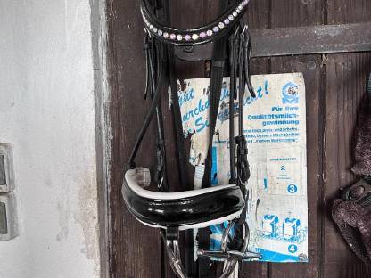 Bild 2:Zaumzeug Claridge House Vernon