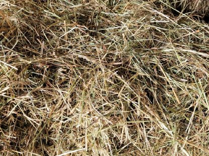 Bild 3:Heu vom 1. Schnitt 2024 (HD-Bunde)