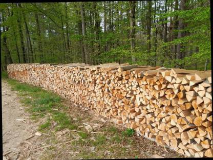 Brennholz